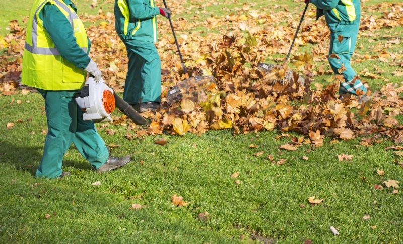 Leaf Raking Techniques